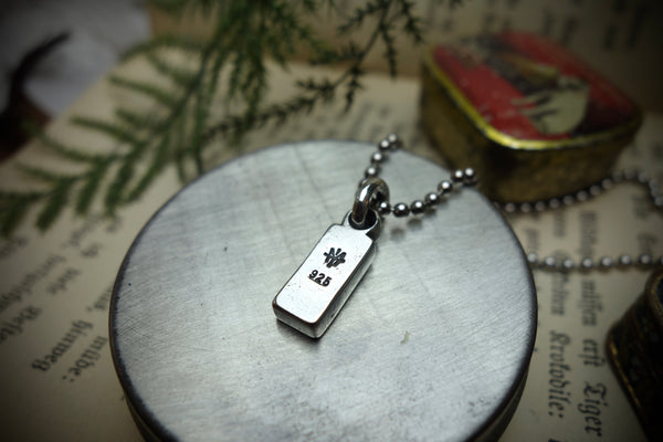 Silver Pendant „FCUK“