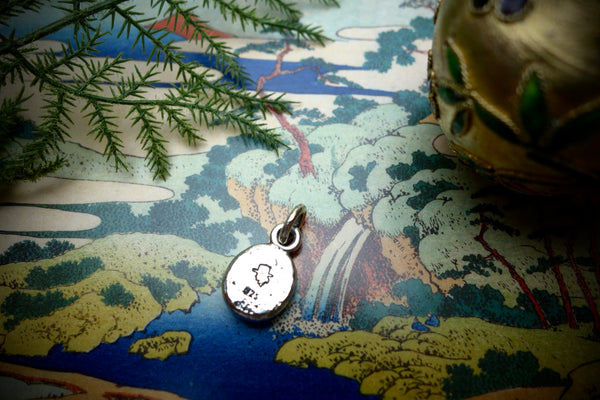 Silver Pendant „THUNDERBIRD“